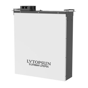 LVTOPSUN 51.2V 100AH Lithium Lifepo4 Battery